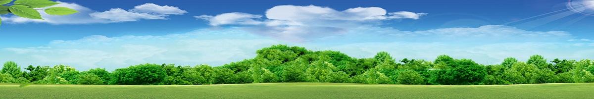 碳排放監(jiān)測